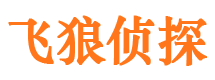 青山市侦探调查公司